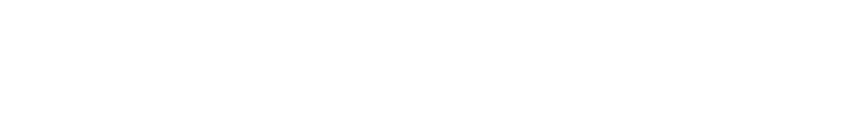sk-white-logo